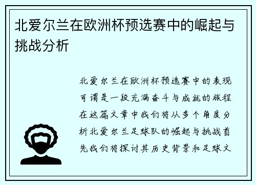 北爱尔兰在欧洲杯预选赛中的崛起与挑战分析
