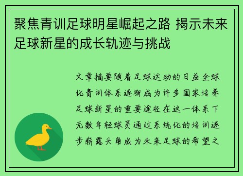 聚焦青训足球明星崛起之路 揭示未来足球新星的成长轨迹与挑战
