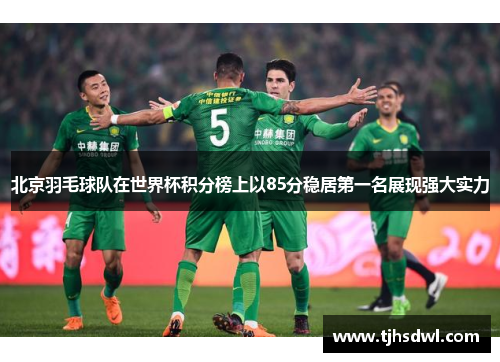 北京羽毛球队在世界杯积分榜上以85分稳居第一名展现强大实力