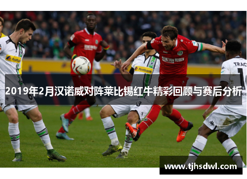 2019年2月汉诺威对阵莱比锡红牛精彩回顾与赛后分析