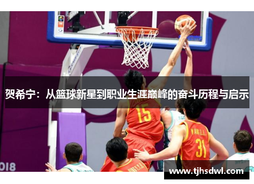 贺希宁：从篮球新星到职业生涯巅峰的奋斗历程与启示