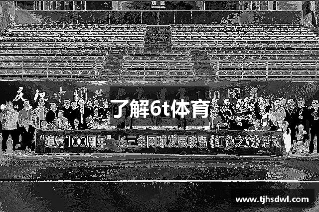 了解6t体育